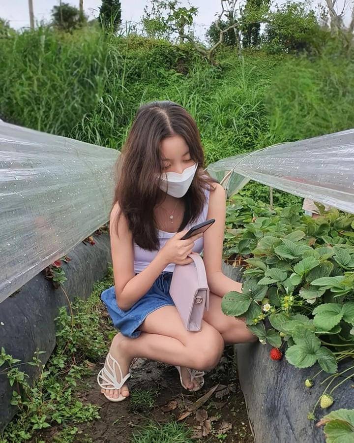 petik stroberi di Hidden Strawberry Garden (instagram.com/strawberry_corps)