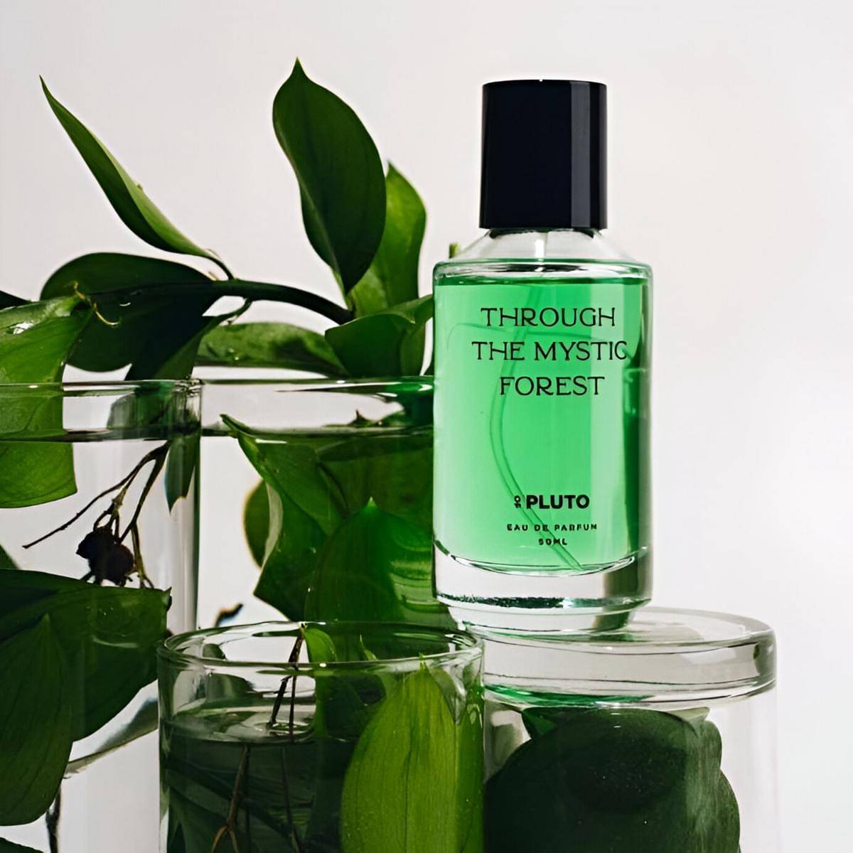 Scent of Pluto Through the Mystic Forest