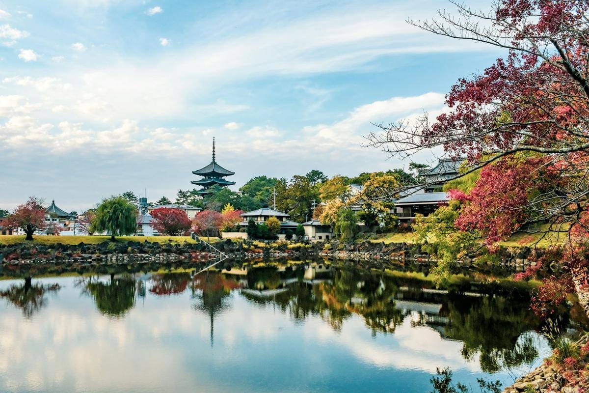 potret Nara, Jepang