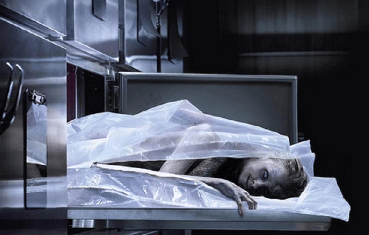 The Possession of Hannah Grace