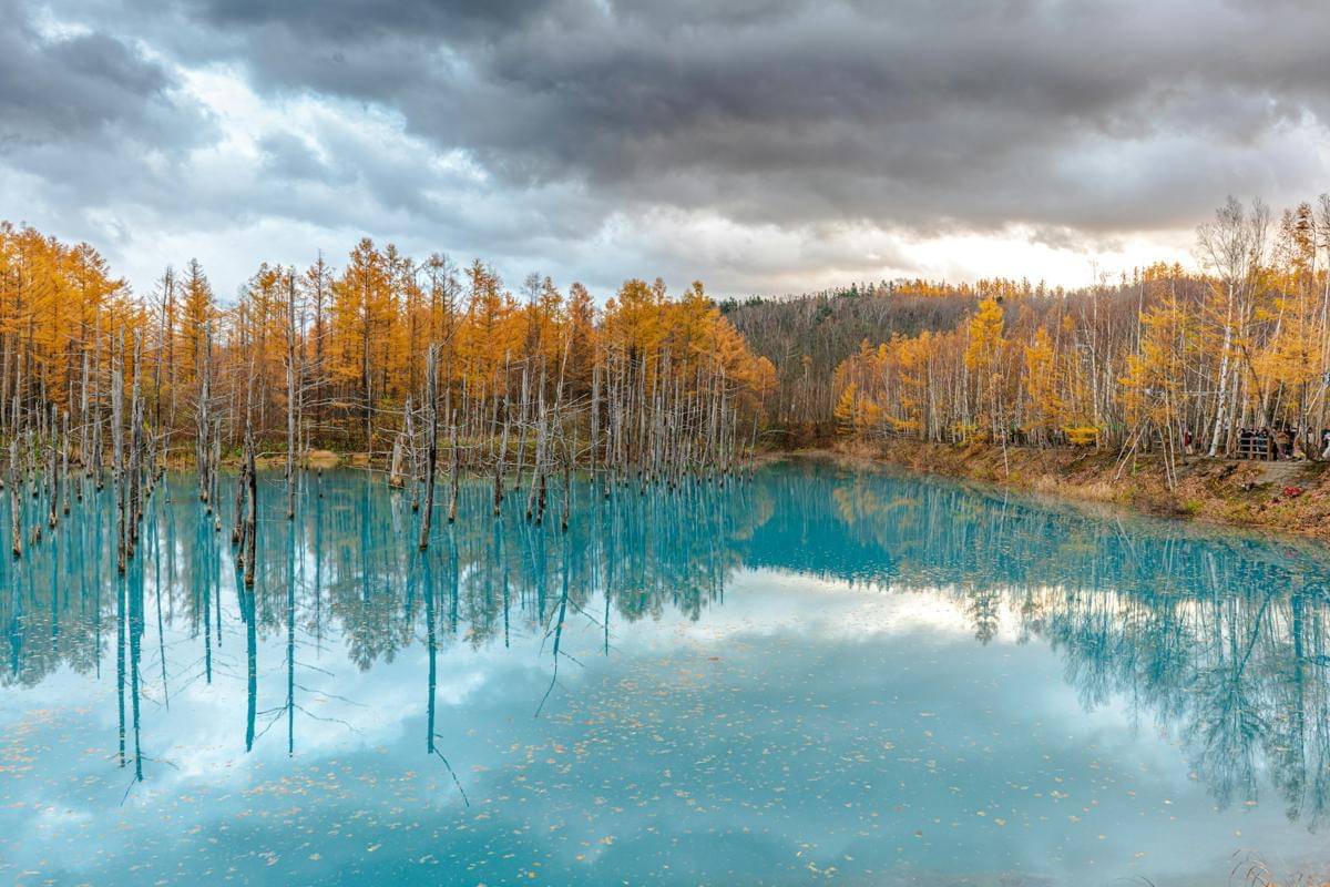 potret Hokkaido, Jepang