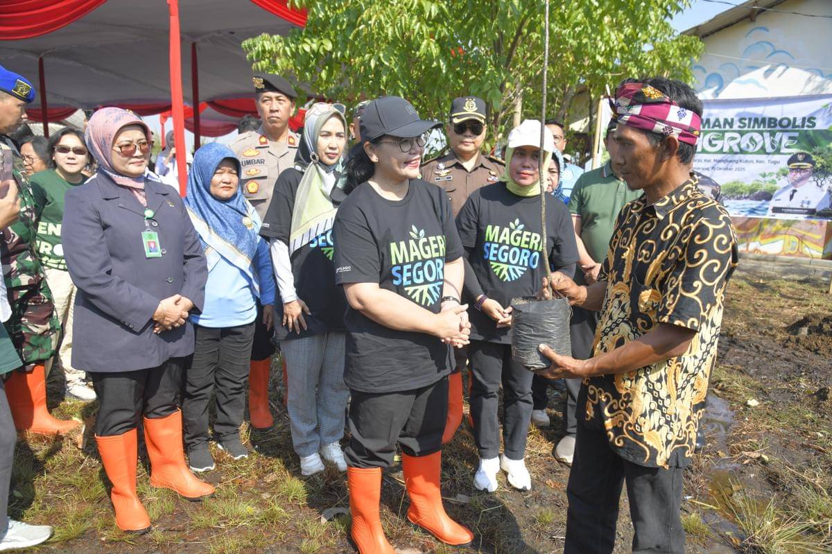 tanam mangrove, pesisir semarang, mageri segoro