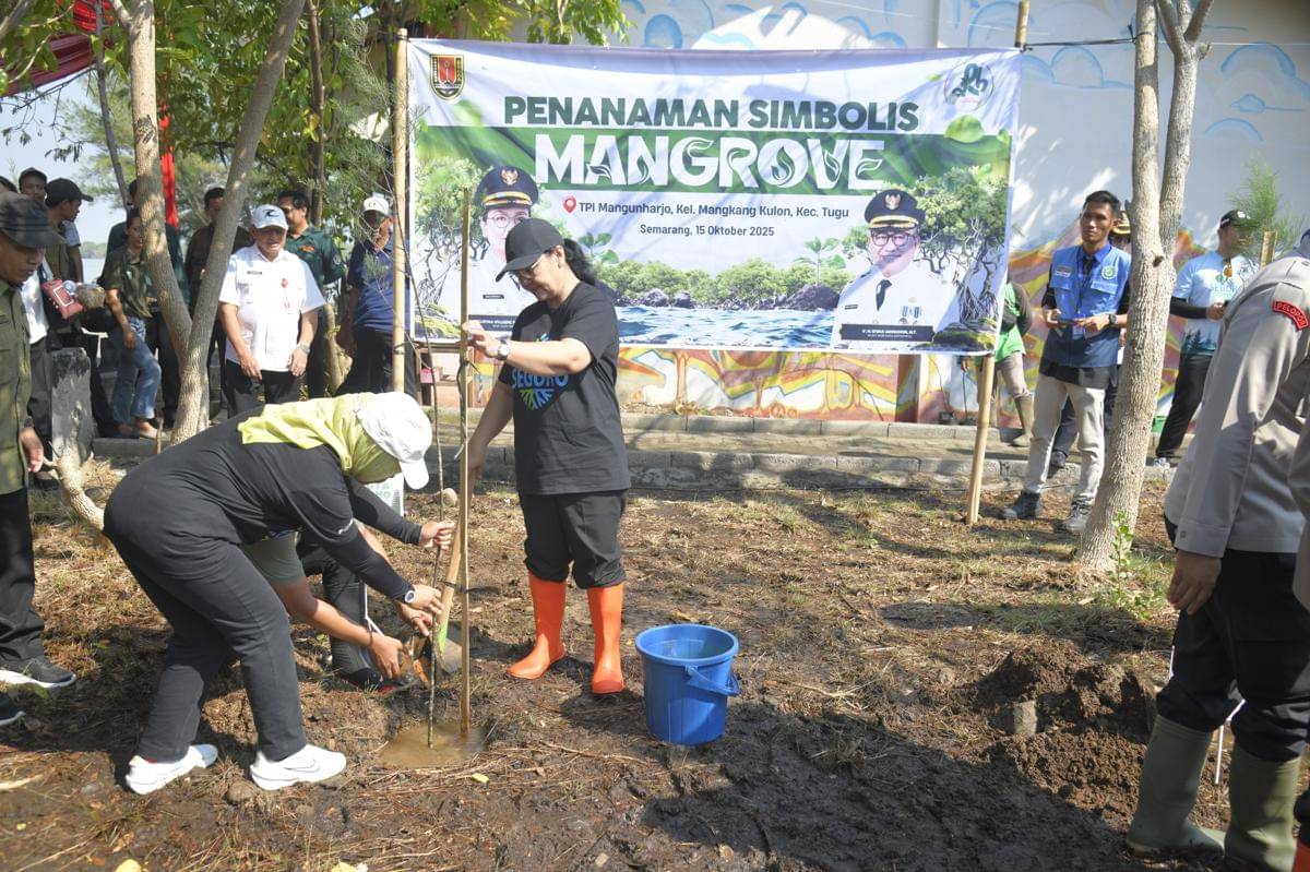 tanam mangrove, pesisir semarang, mageri segoro