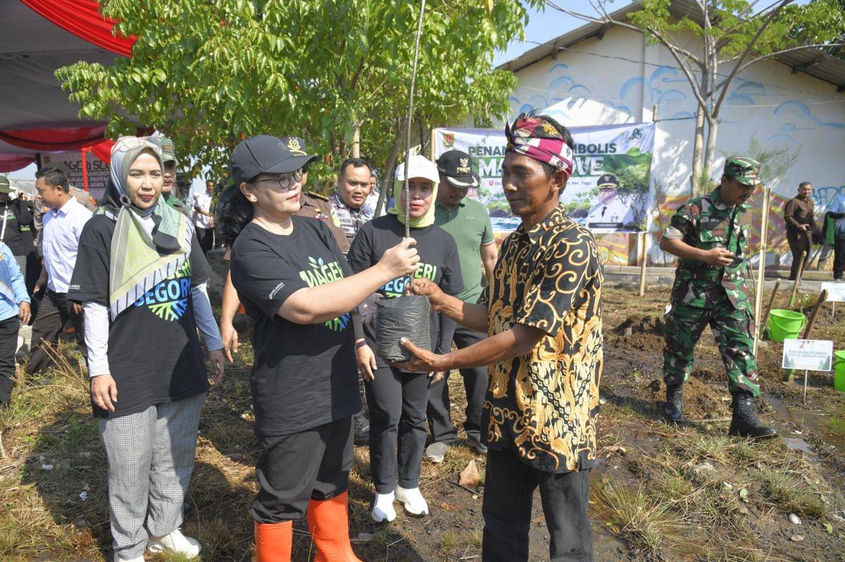 tanam mangrove, pesisir semarang, mageri segoro