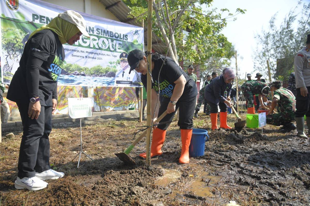 tanam mangrove, pesisir semarang, mageri segoro