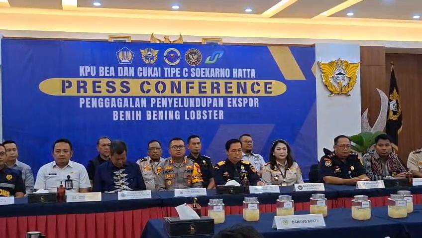 4 Penumpang di Bandara Soetta Selundupkan Benih Lobster Senilai Rp5,17 M