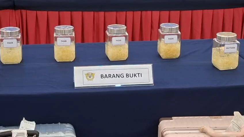 4 Penumpang di Bandara Soetta Selundupkan Benih Lobster Senilai Rp5,17 M
