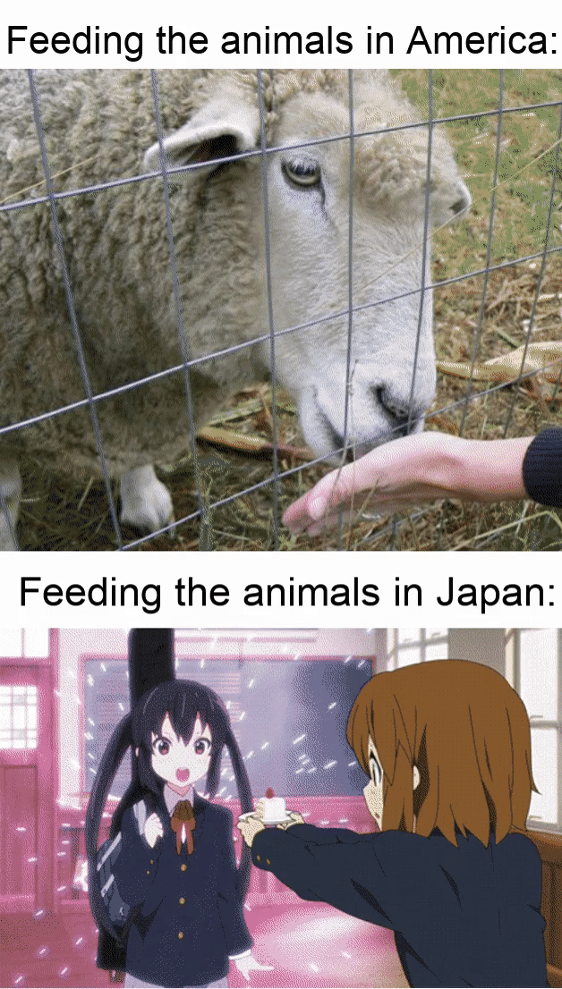 meme anime tentang kebun binatang