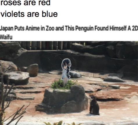 meme anime tentang kebun binatang