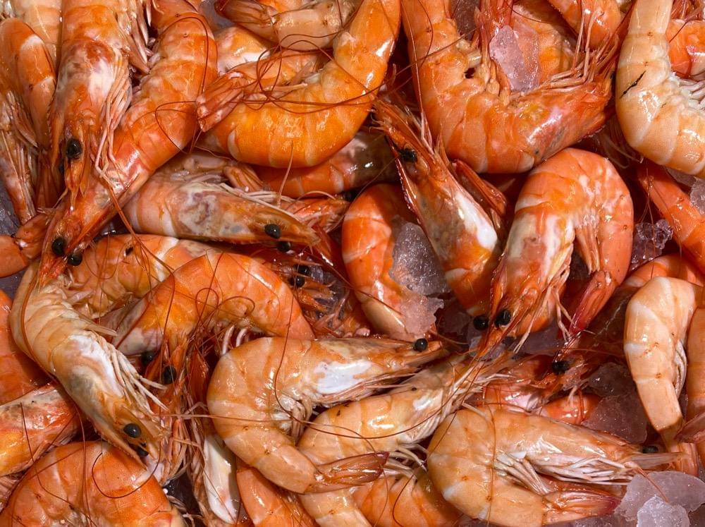 Udang segar yang baru dimasak