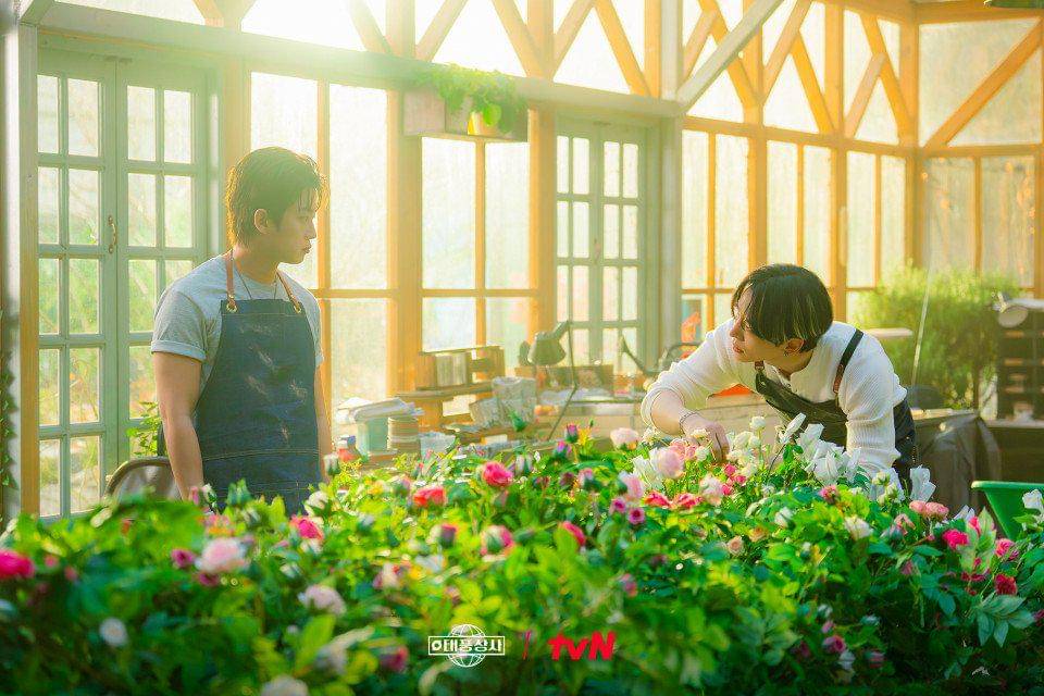 Kim Min Seok dan Lee Junho di Typhoon Family