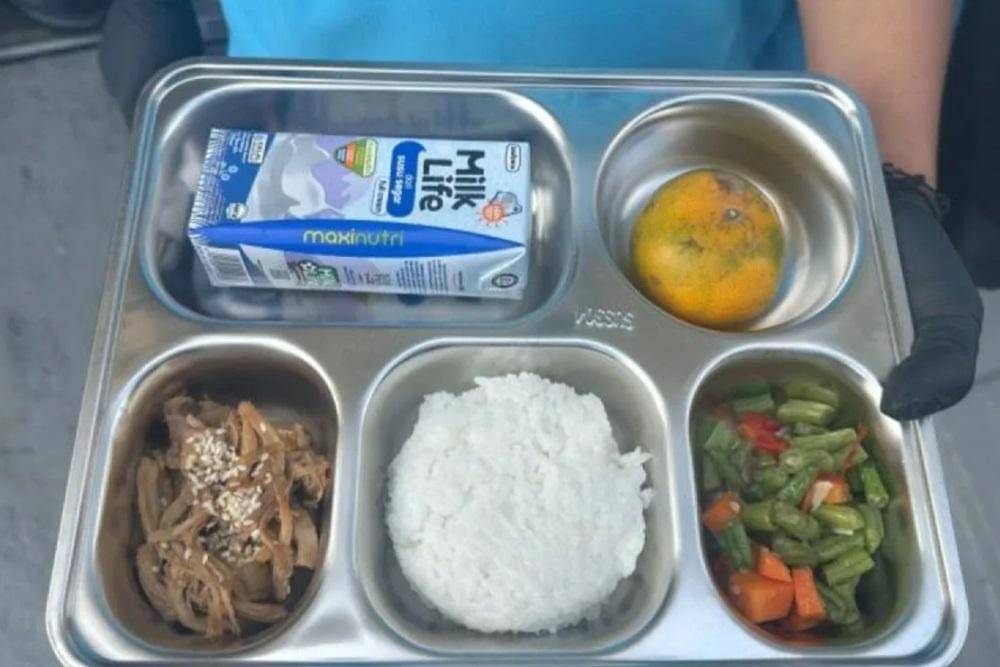 Progam Makan Bergizi Gratis Yang Perlu DIkaji Ulang
