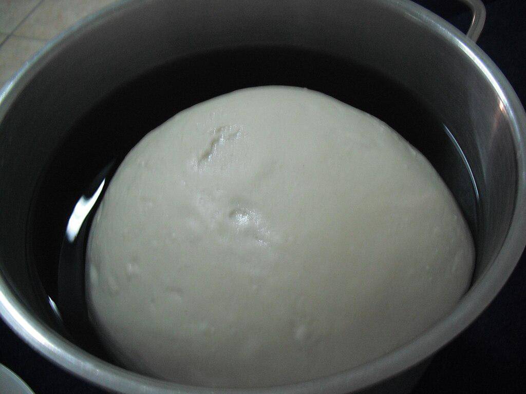 ilustrasi fermentasi sourdough