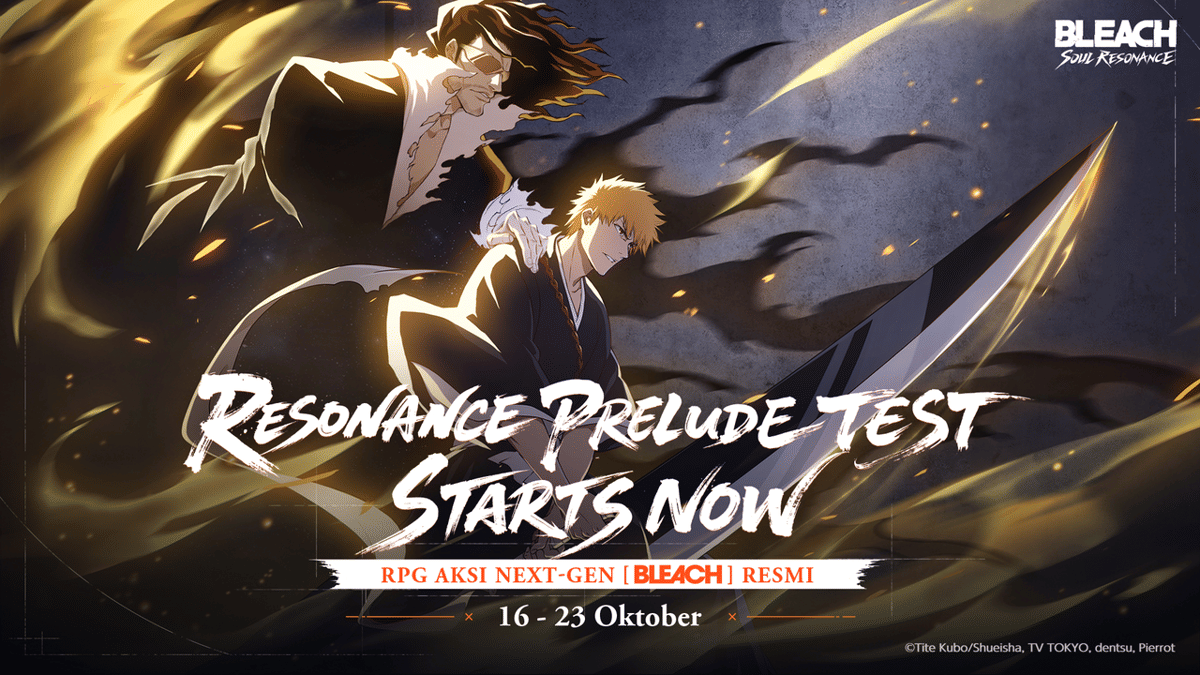 Bleach Soul Resonance