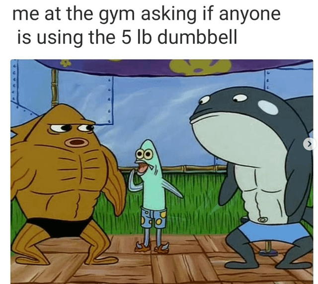 meme kartun tentang gym