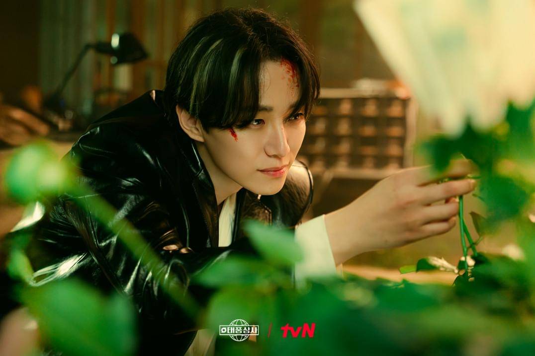still cuts drama Typhoon Family