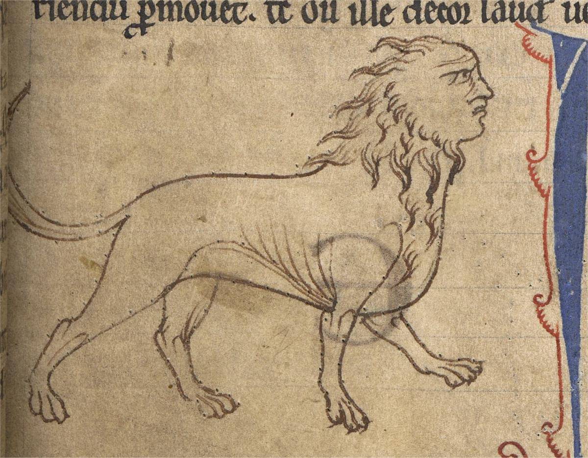 Manticore