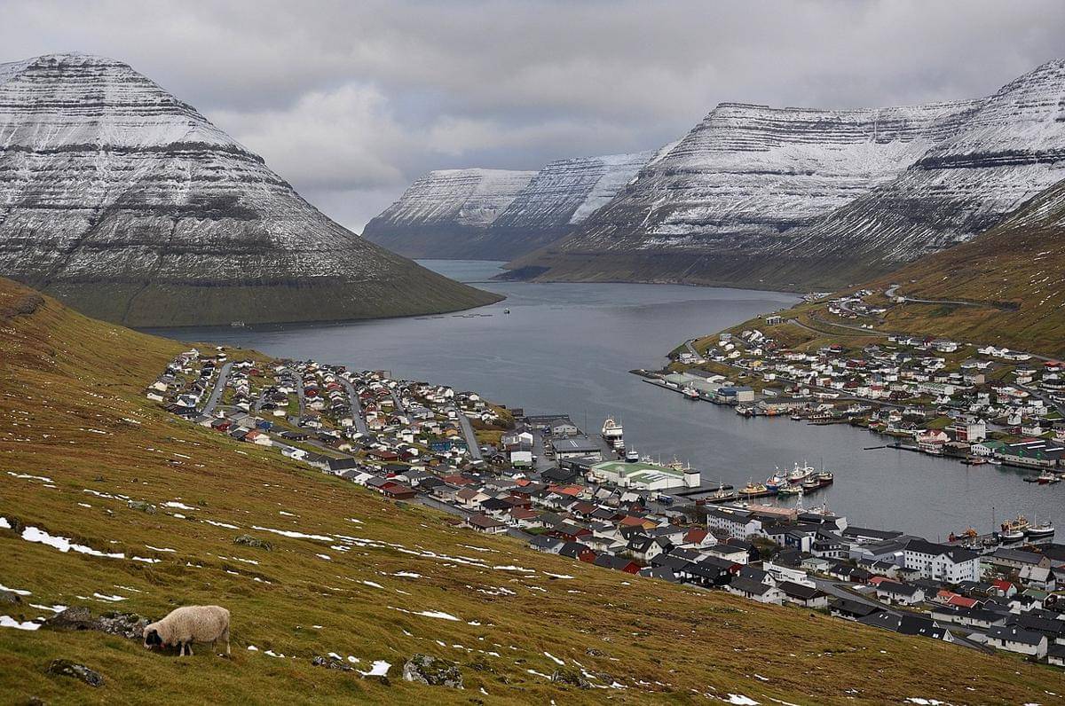 Fakta Menarik Kepulauan Faroe, Banyakan Domba daripada Manusia