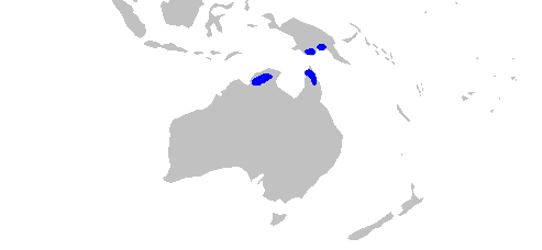 ilustrasi peta persebaran hiu gigi tombak