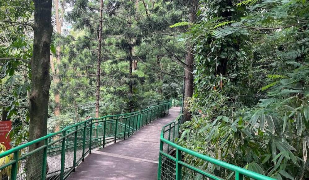 Hutan Kota Babakan Siliwangi Bandung (google.com/maps/Abinubli Tariswafi Mawarid)