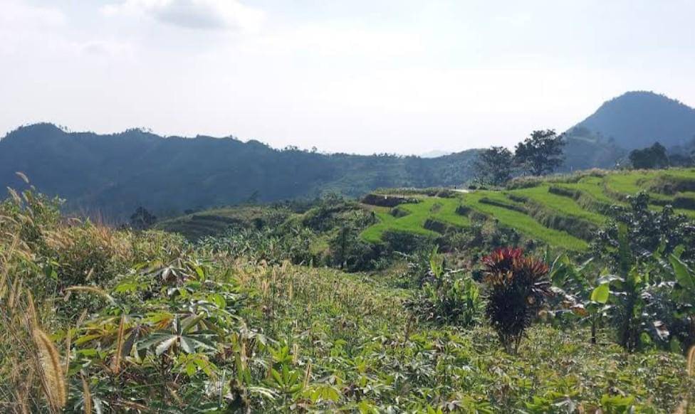 Gunung Kuta 