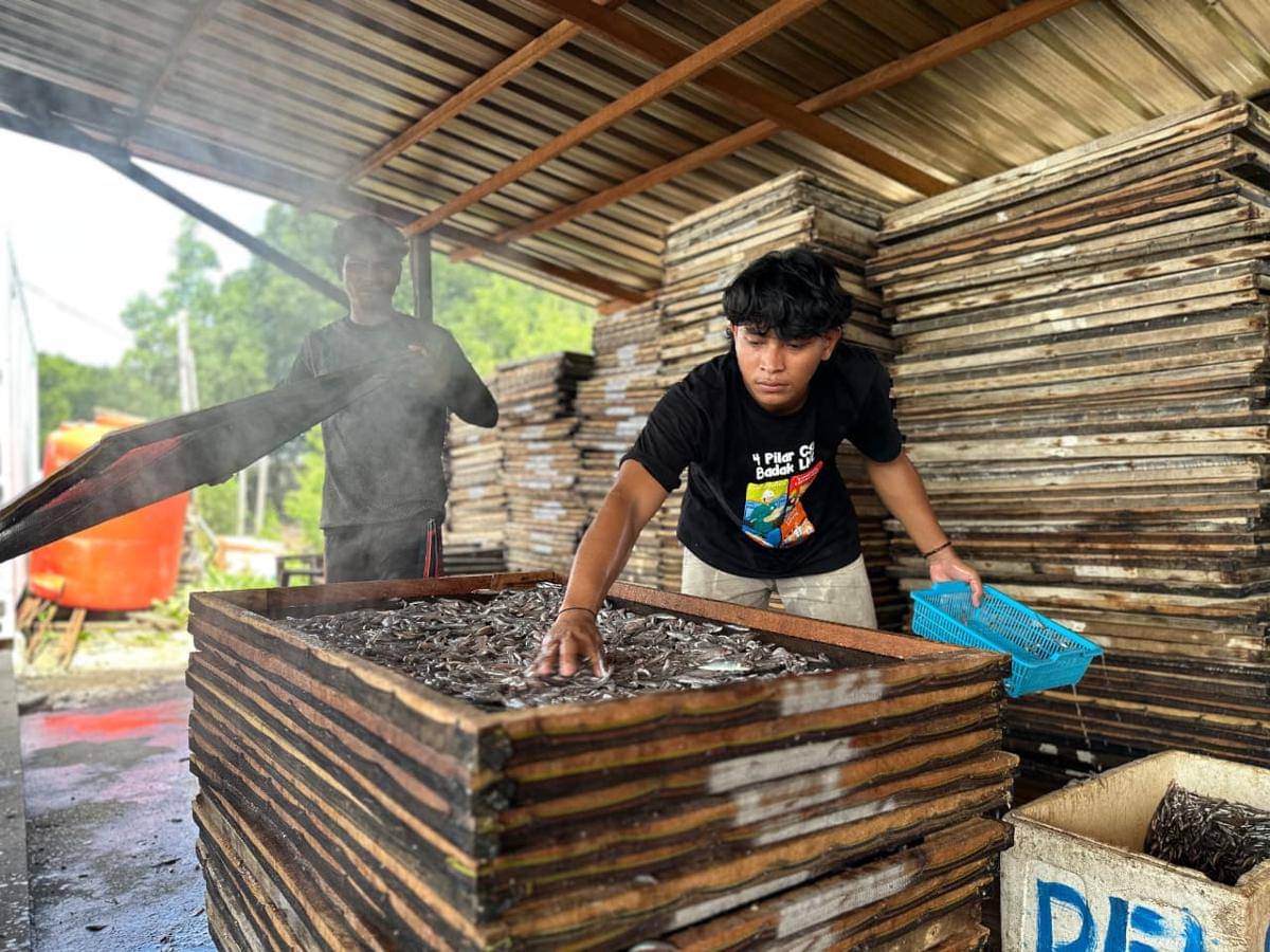 CSR Badak LNG