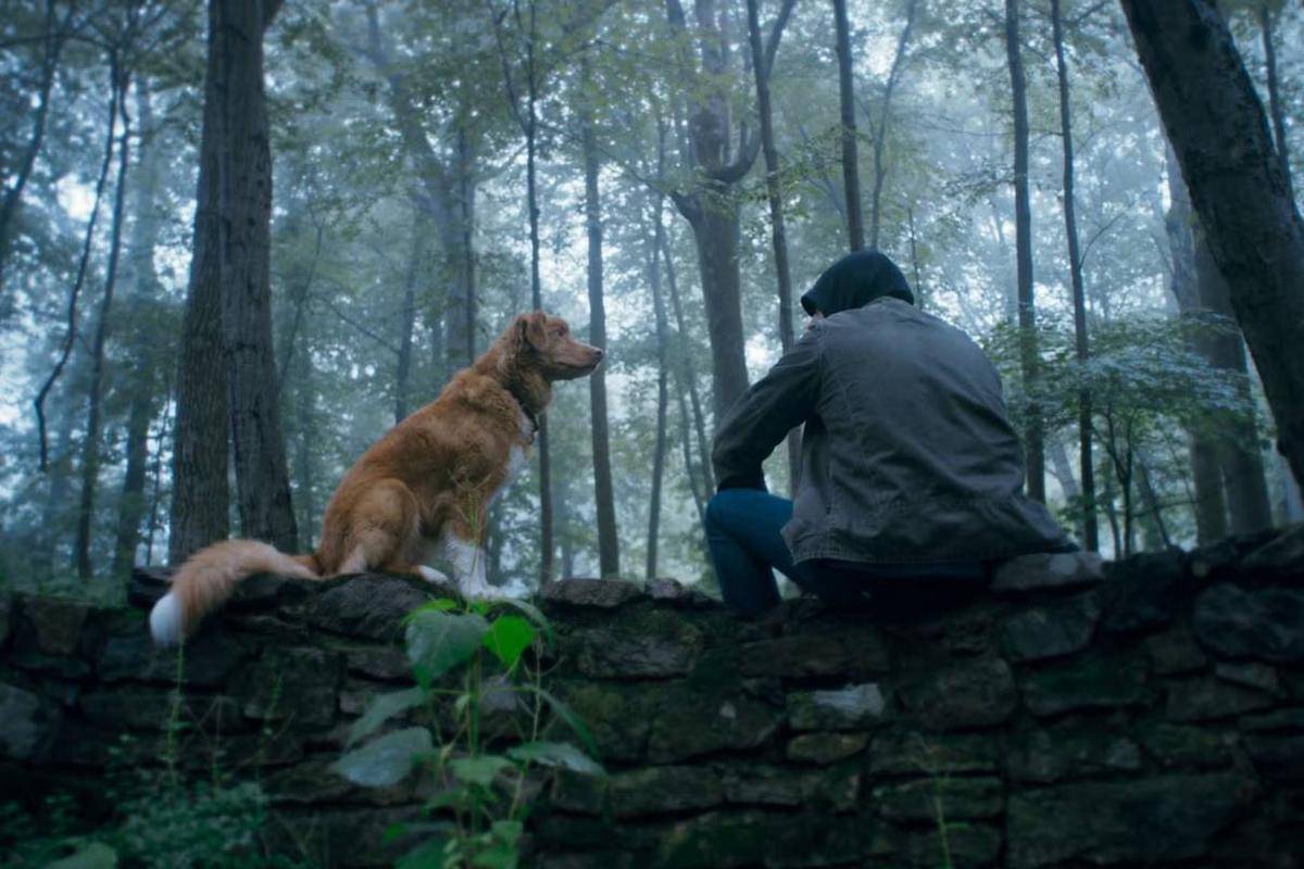 Cuplikan adegan di film Good Boy