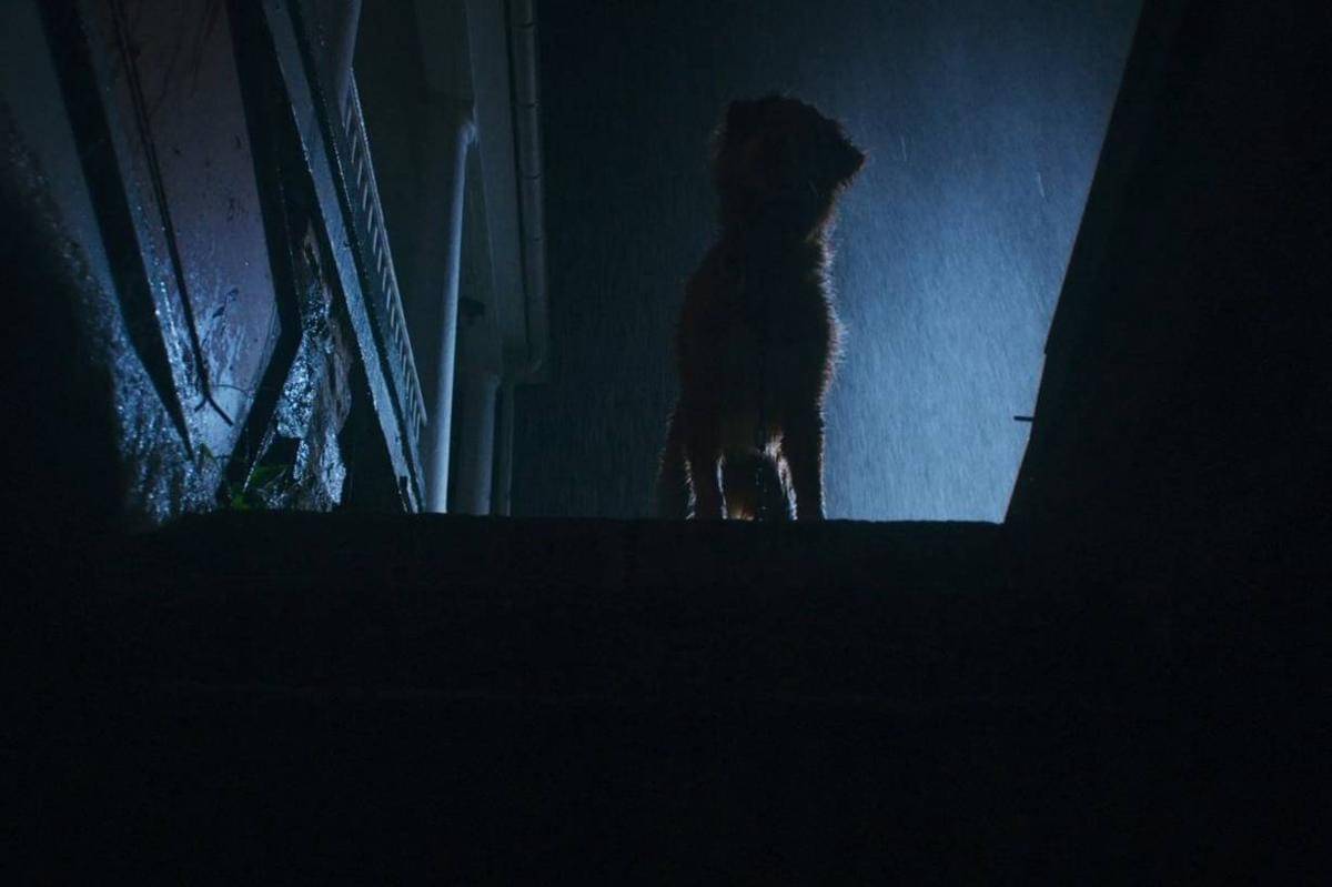 Cuplikan adegan di film Good Boy