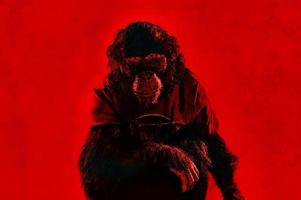 Sinopsis Primate (2025), Film Horor Simpanse yang Sedang Viral.jpg