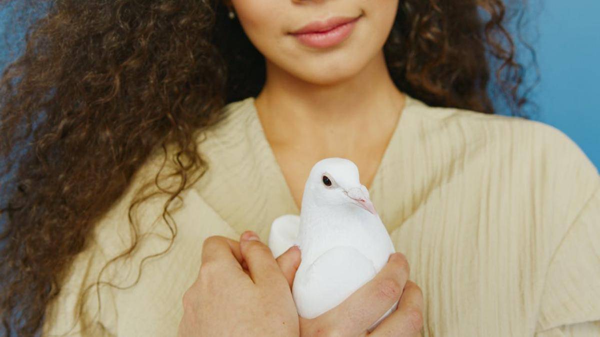 burung kesayangan