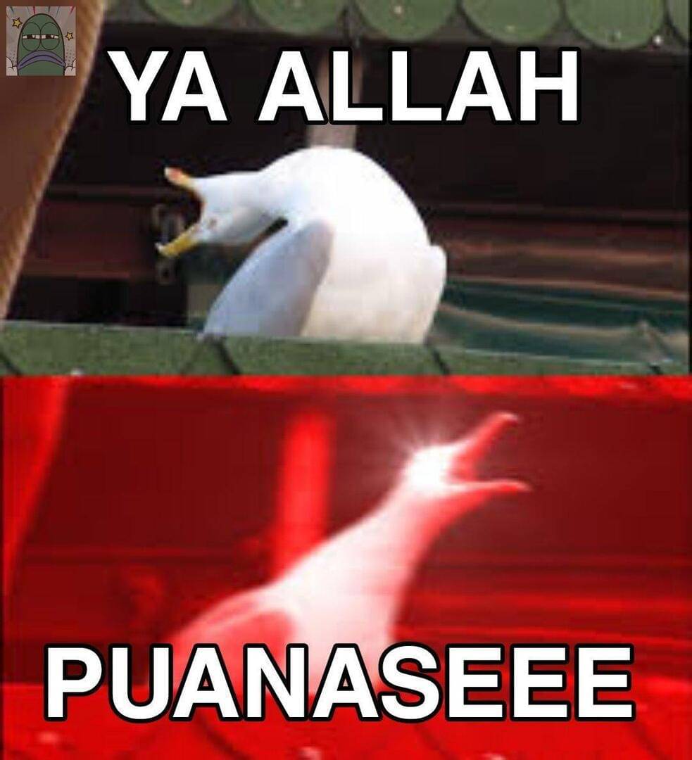 meme cuaca panas
