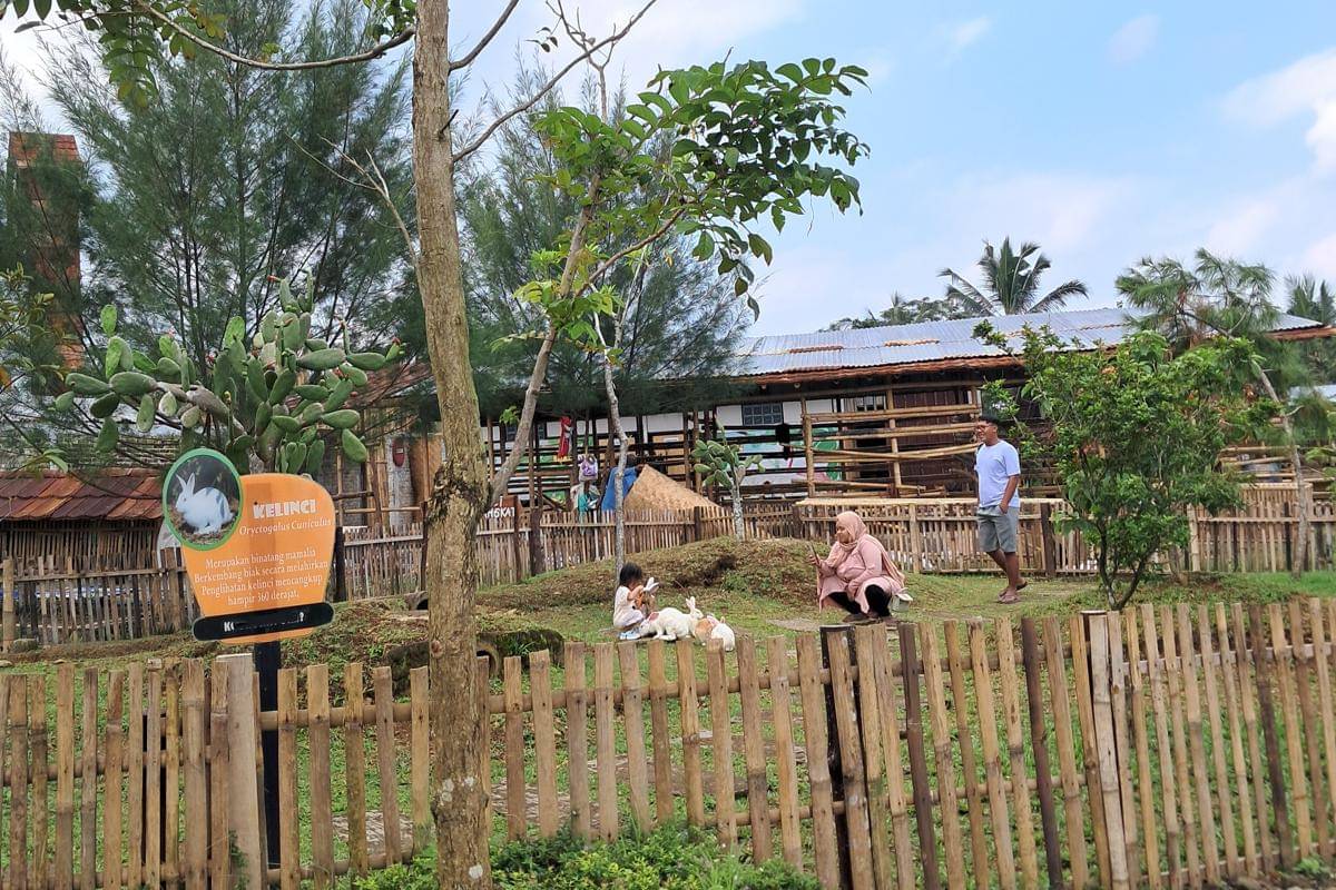 Keluarga sedang bermain bersama kelinci
