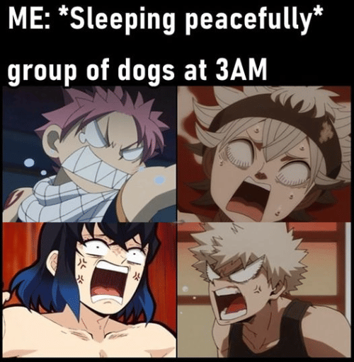meme karakter anime berisik