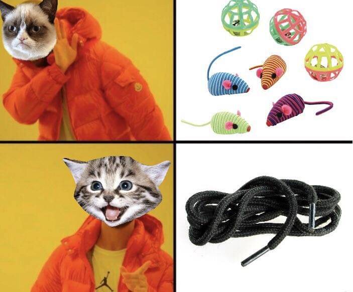 meme kucing tentang mainan