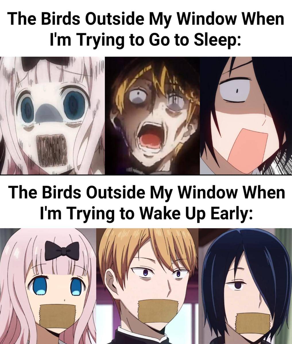 meme karakter anime berisik