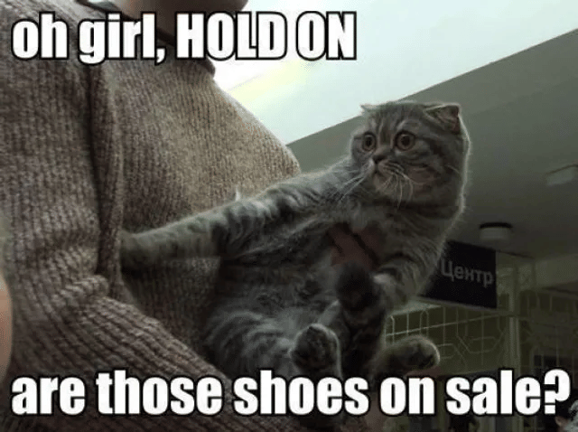 meme kucing dan alas kaki