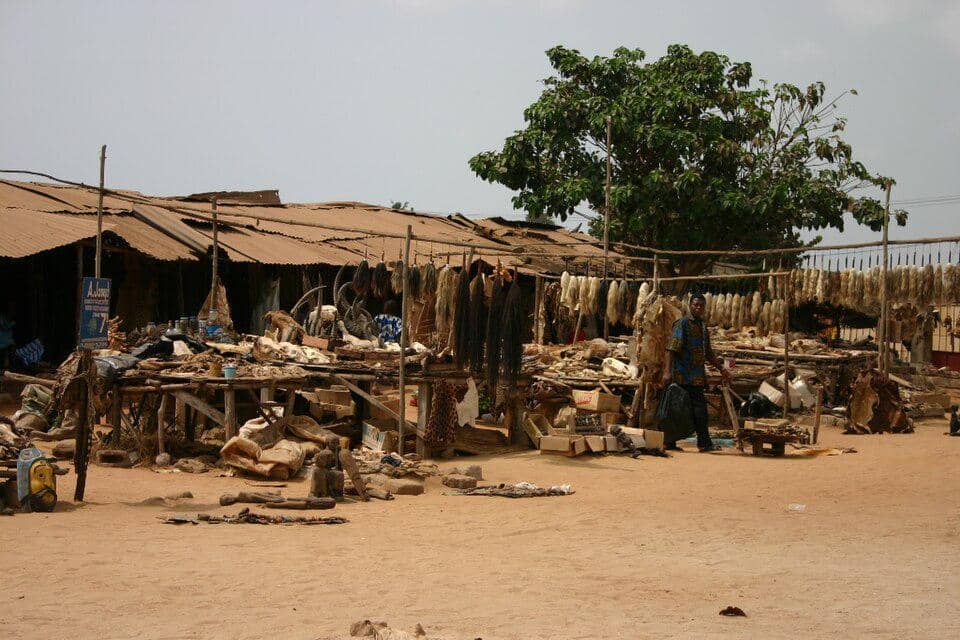 Akodessawa Fetish Market