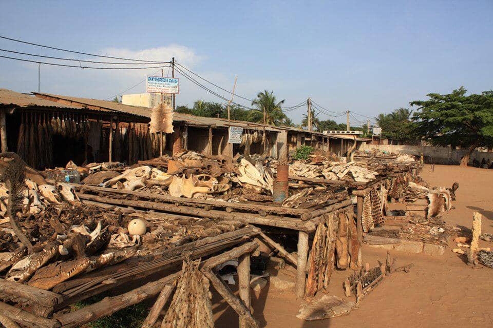 Booth at Akodessawa Fetish Market