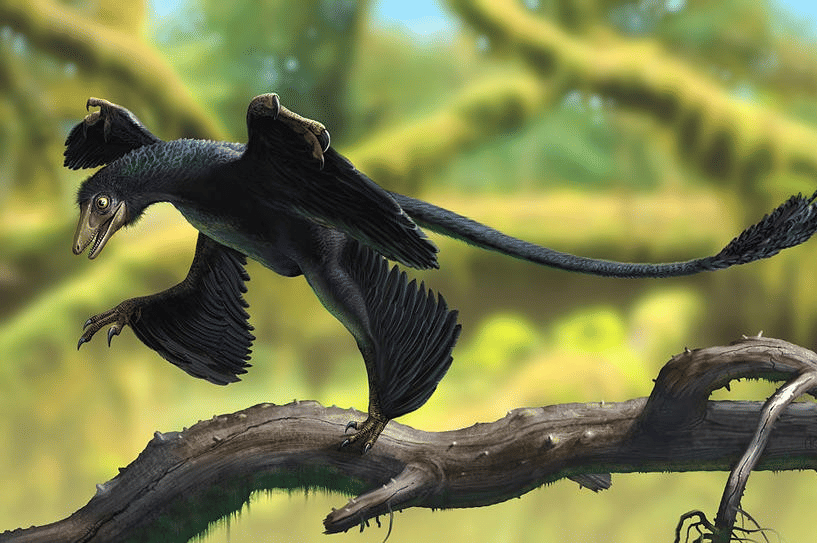 5 Dinosaurus Karnivor Terkecil, Tak Lebih Besar dari Ayam dan Kalkun