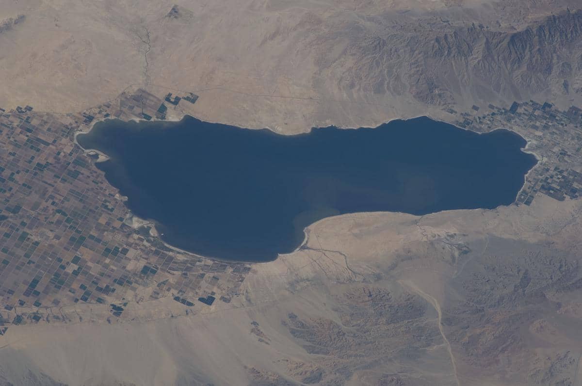 Fakta Unik Salton Sea, “Surga” Liburan yang Kini Jadi Bencana