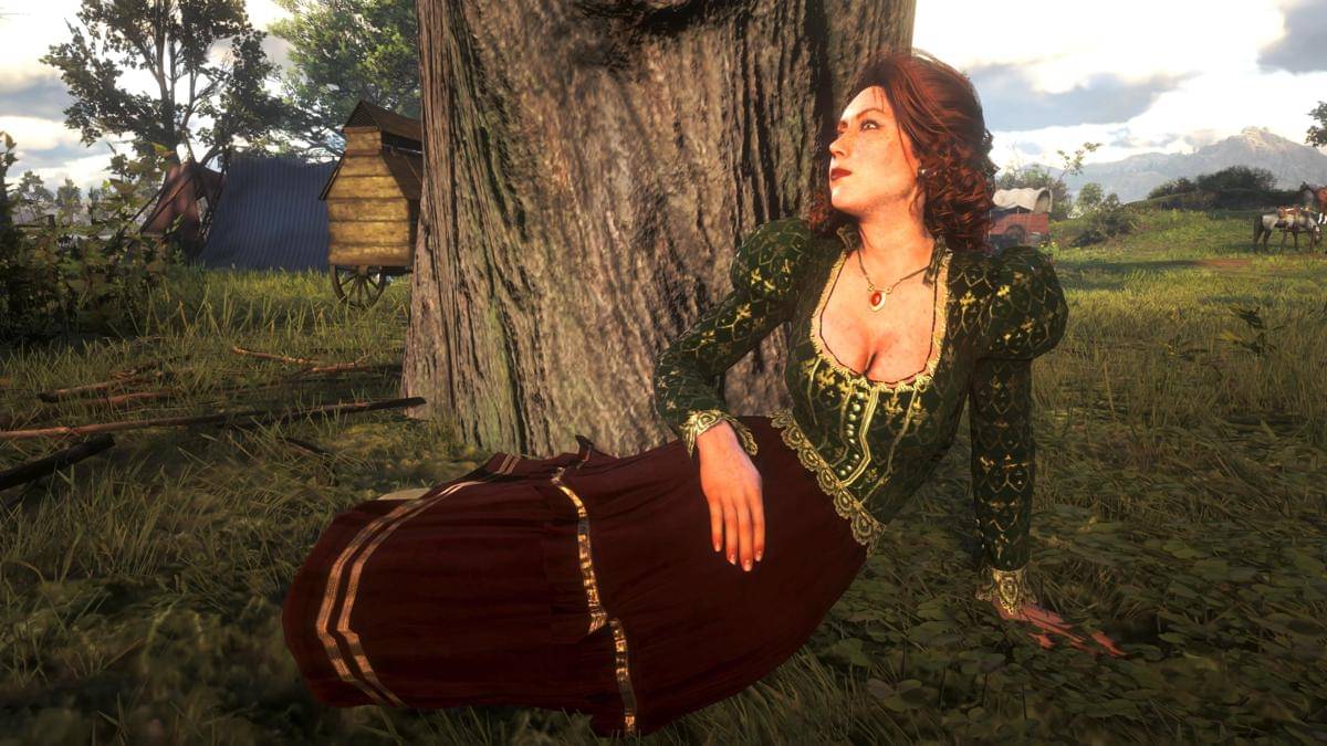 cuplikan game Red Dead Redemption 2