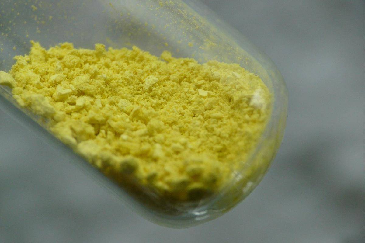 ilustrasi nutritional yeast