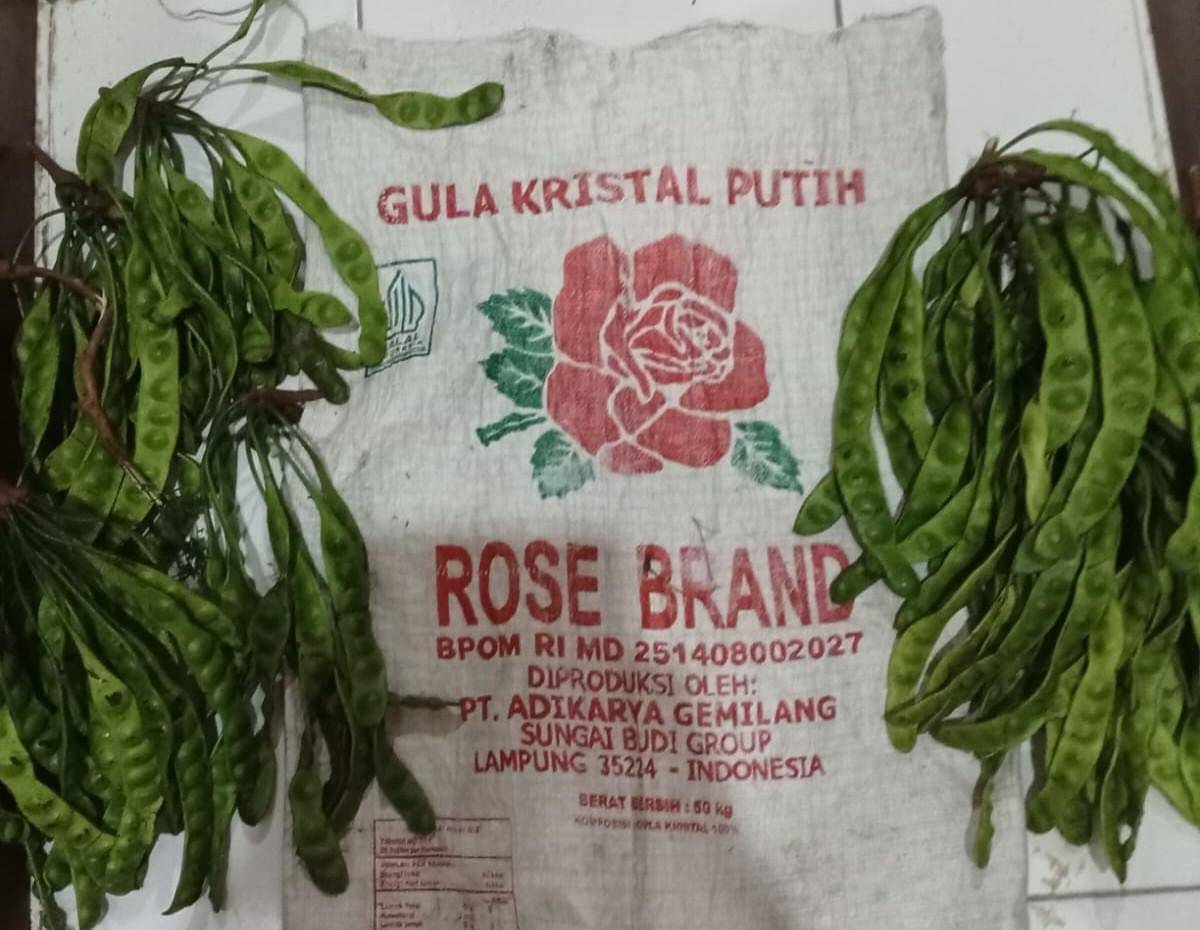 Barang bukti petai yang dicuri korban dari kebun pelaku. (Dok. Polsek Sungai Keruh)