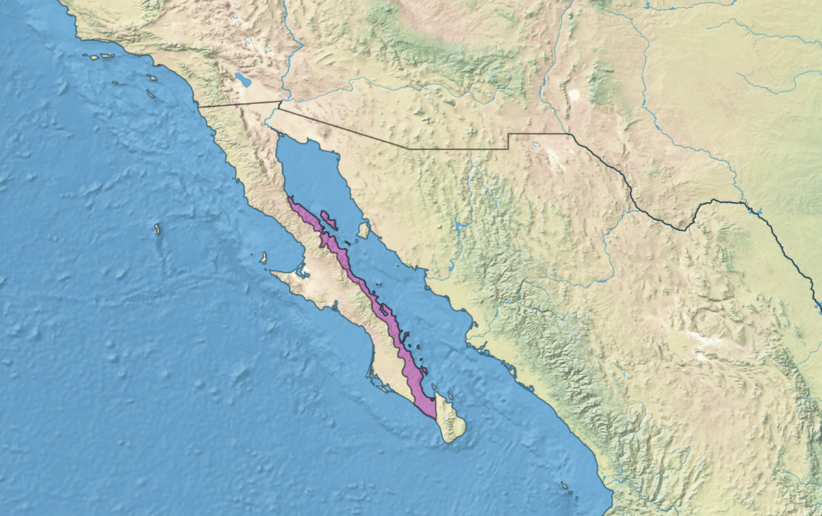 Peta Semenanjung Baja California dan Teluk California, habitat vaquita