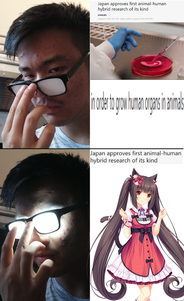 meme karakter anime berkacamata