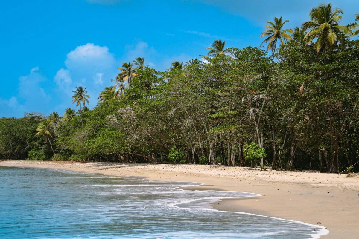 ilustrasi tempat wisata pantai di Tanjung Lesung