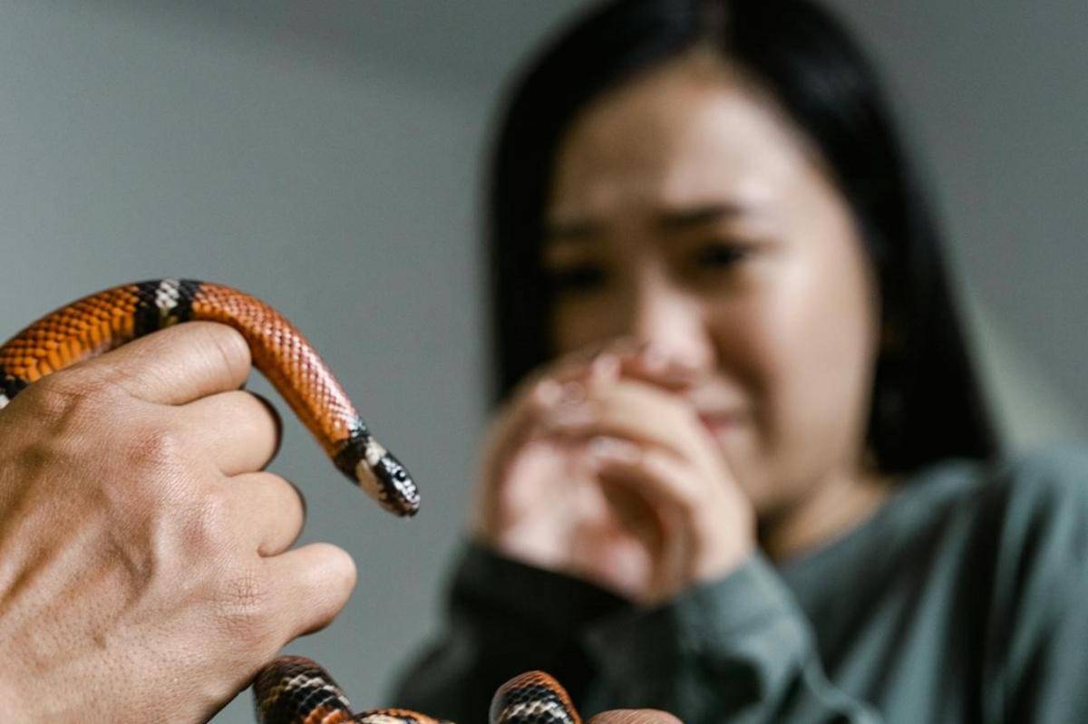 Seorang wanita takut ular.