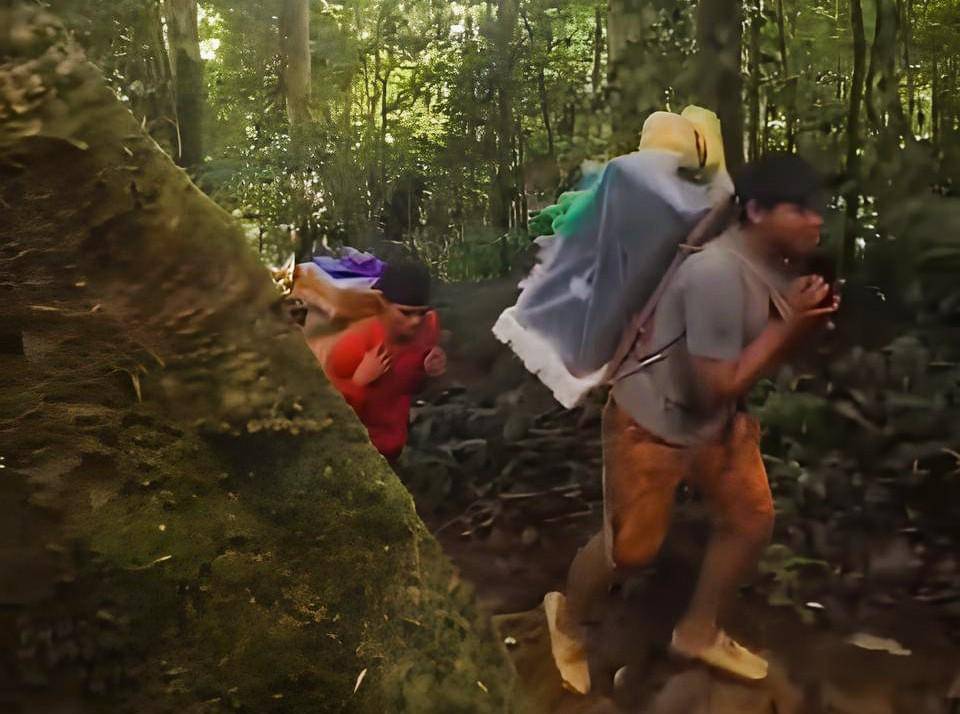 Masyarakat adat Desa Aing Bantai, Kabupaten Hulu Sungai Tengah, Kalimantan Selatan, saat berjalan kaki di tengah pegunungan Meratus menuju kota. (Dok. Jelita untuk IDN Times)