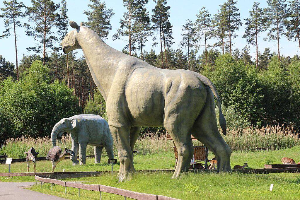 Restorasi paraceratherium 