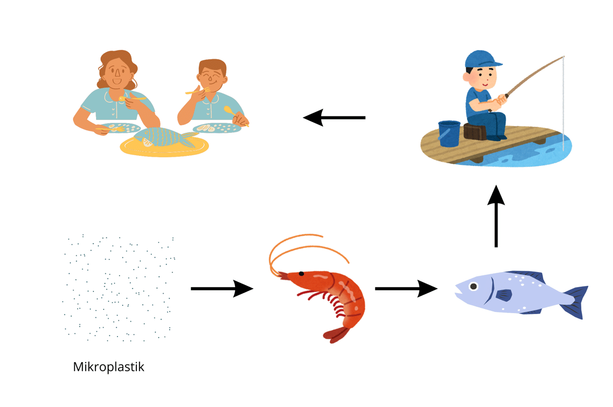 Ilustrasi transfer trofik